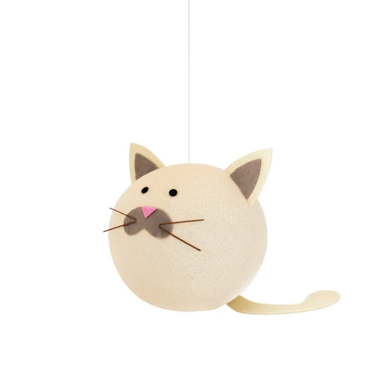 Katten Musse