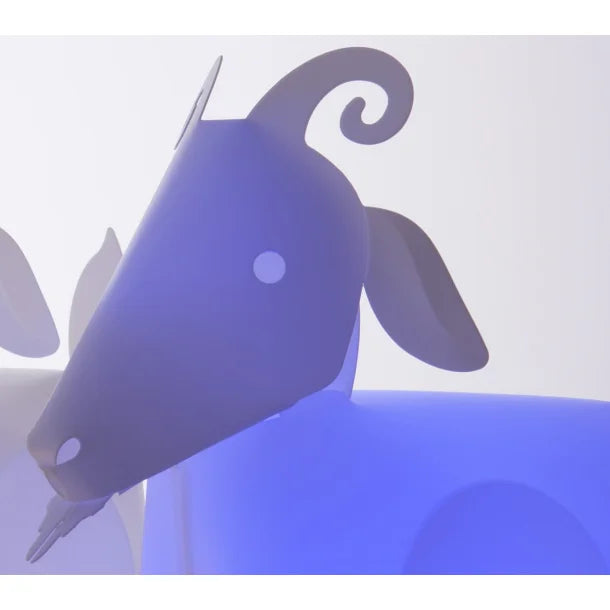 Ged - Zoolight Color Limited Edition