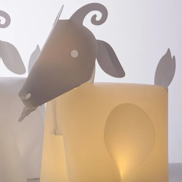 Ged - Zoolight Color Limited Edition